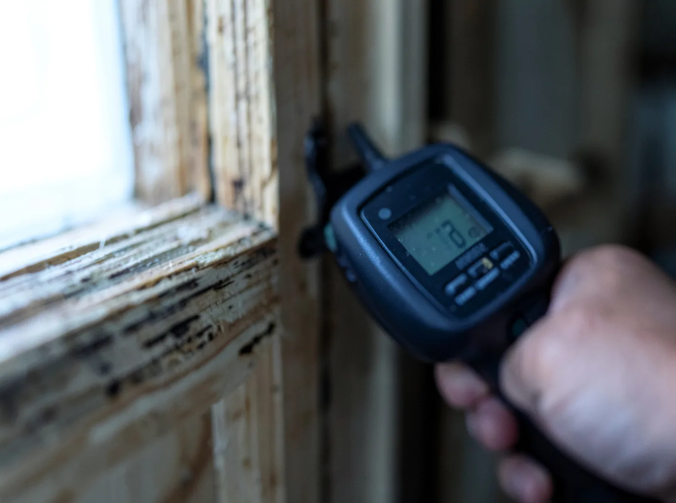 Moisture Inspection And Documentation in Topinabee, MI